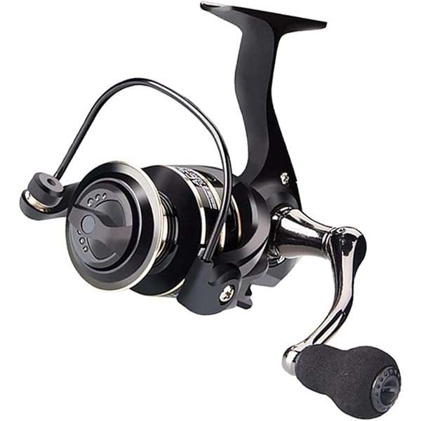 ２０STRADIC SW6000XG 31+v429M2RL._AC_UF894,